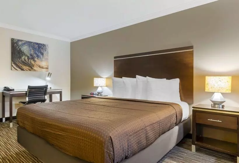 Best Western Redondo Beach Galleria Inn Hotel   Beach City La