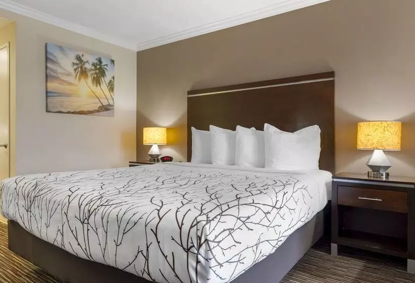 Best Western Redondo Beach Galleria Inn Hotel   Beach City La