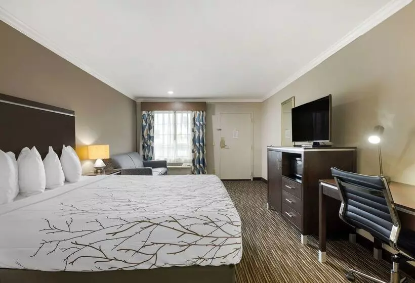 Best Western Redondo Beach Galleria Inn Hotel   Beach City La