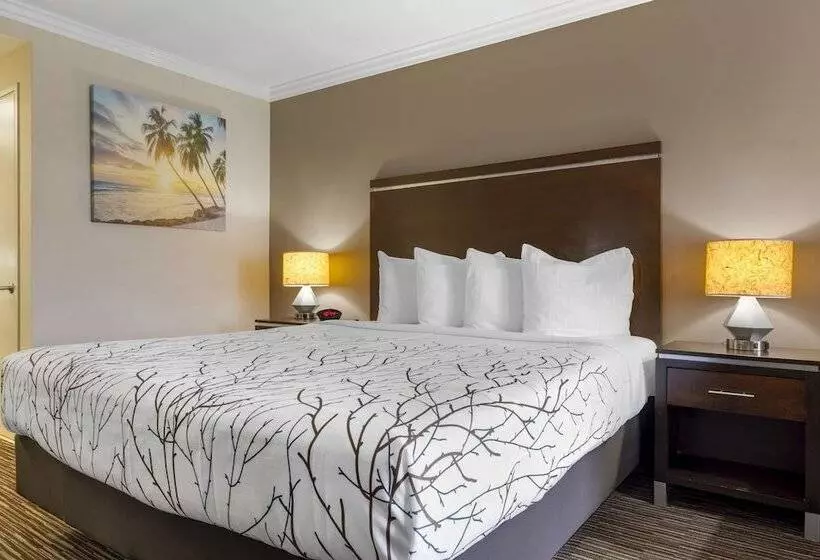 Best Western Redondo Beach Galleria Inn Hotel   Beach City La