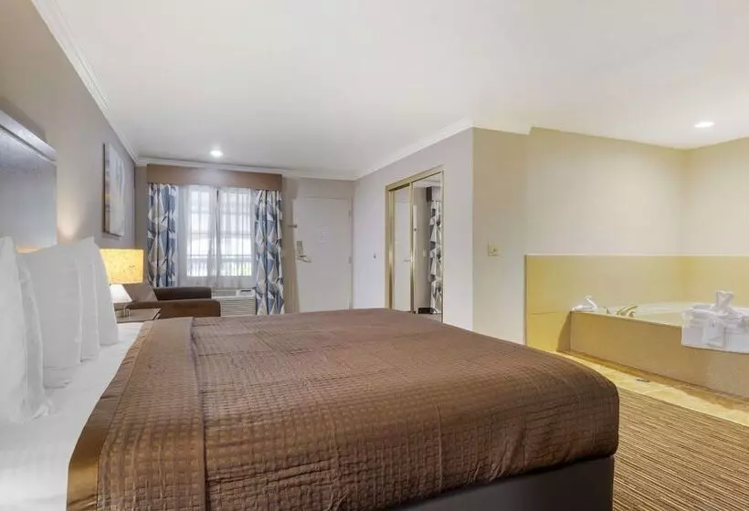 Best Western Redondo Beach Galleria Inn Hotel   Beach City La