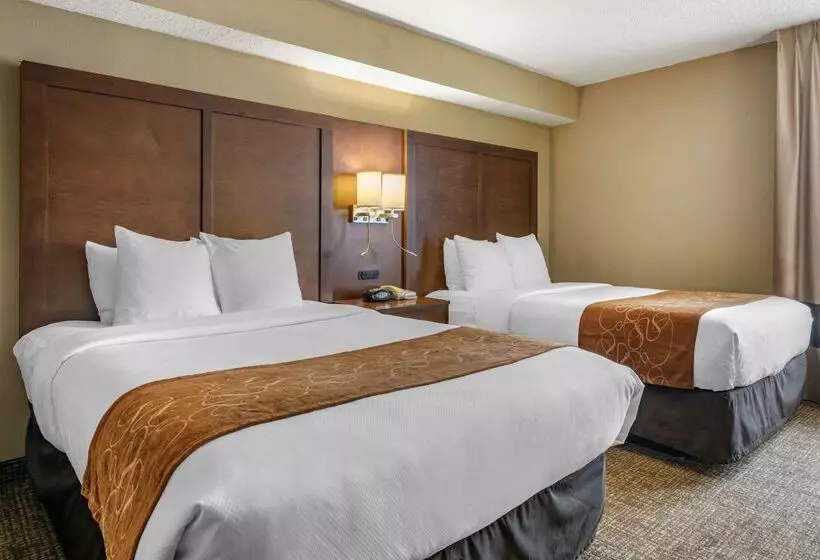 ホテル Comfort Suites Baymeadows Near Butler Blvd