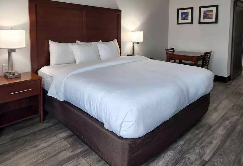 ホテル Comfort Suites Baymeadows Near Butler Blvd