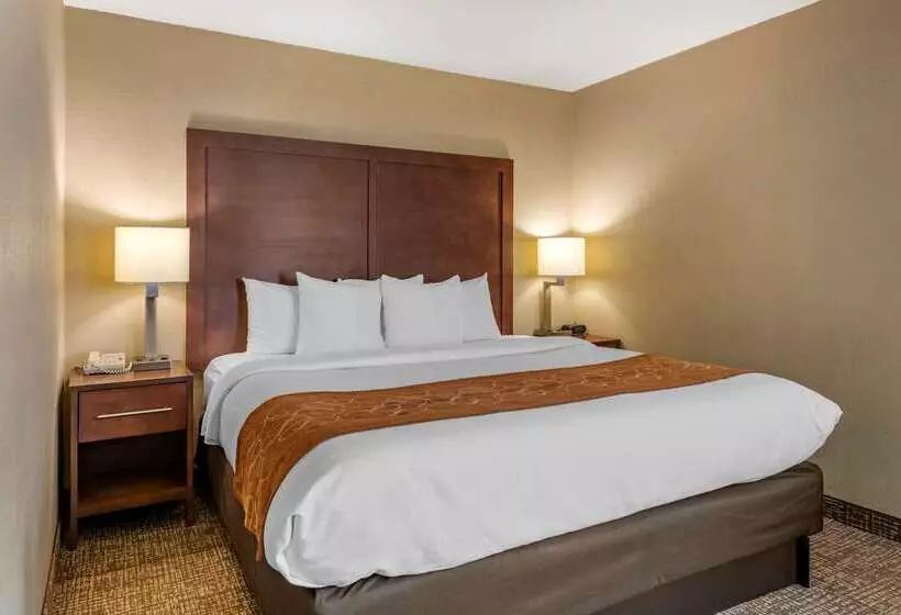 ホテル Comfort Suites Baymeadows Near Butler Blvd