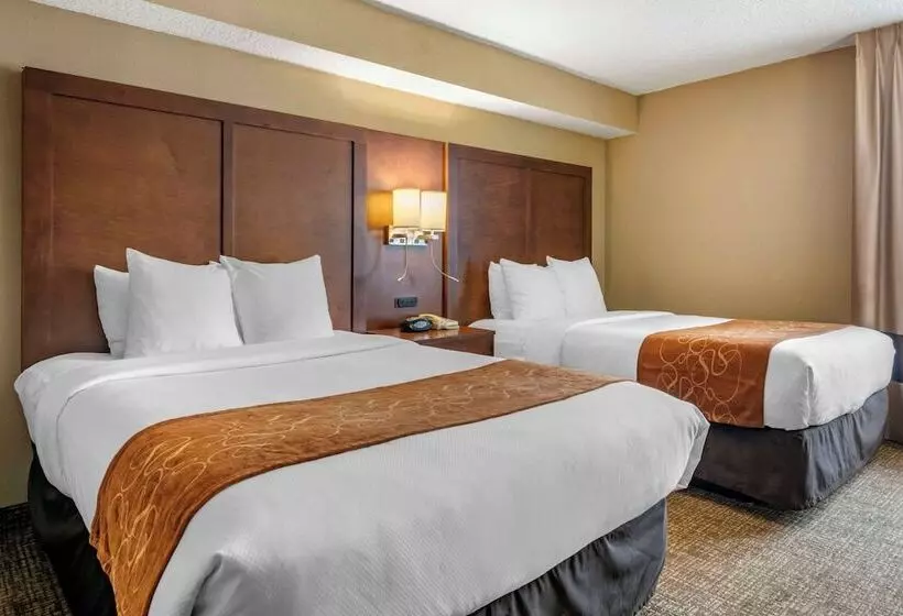 ホテル Comfort Suites Baymeadows Near Butler Blvd