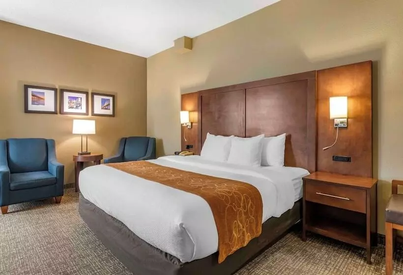 ホテル Comfort Suites Baymeadows Near Butler Blvd