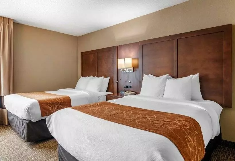 ホテル Comfort Suites Baymeadows Near Butler Blvd