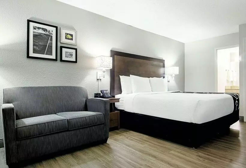 בית מלון כפרי La Quinta Inn By Wyndham West Palm Beach  Florida Turnpike