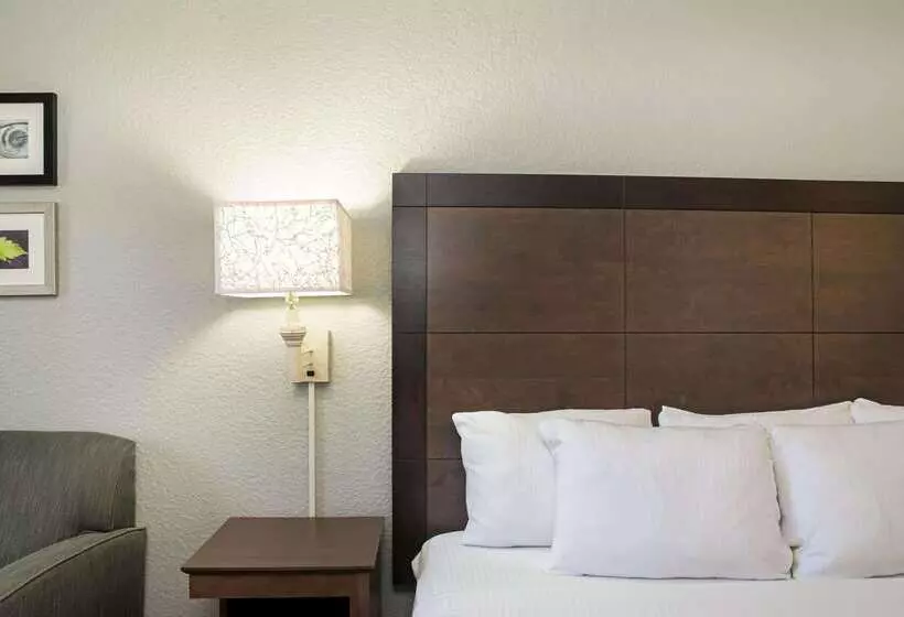 בית מלון כפרי La Quinta Inn By Wyndham West Palm Beach  Florida Turnpike