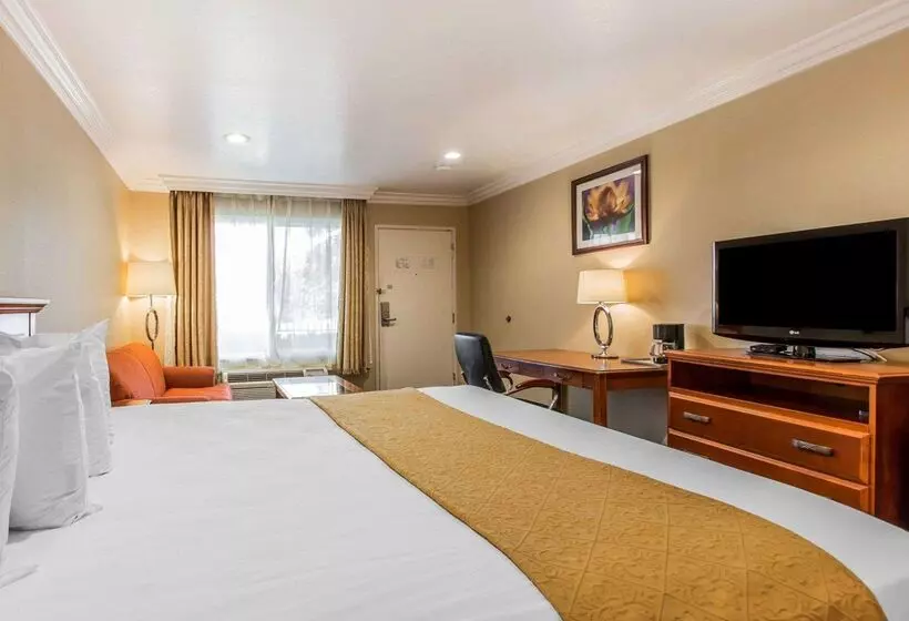 Hotel Quality Inn Long Beach   Signal Hill