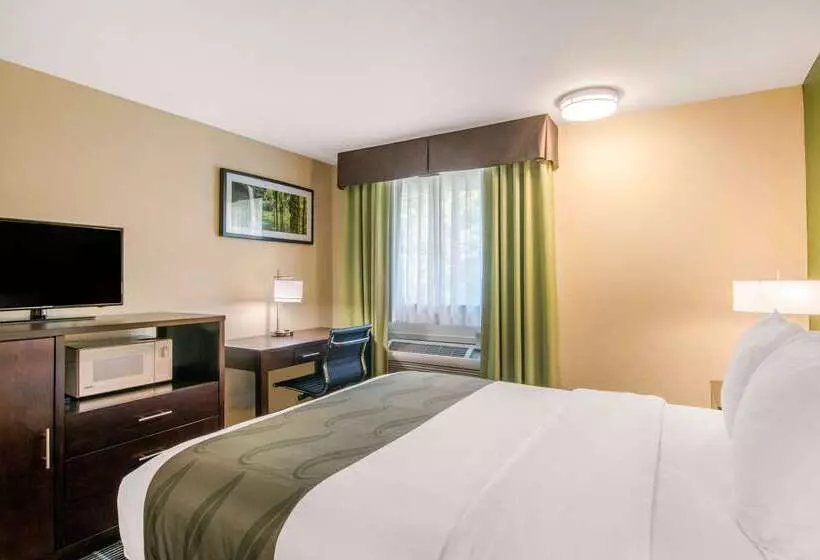 Otel Quality Inn & Suites Albany Corvallis