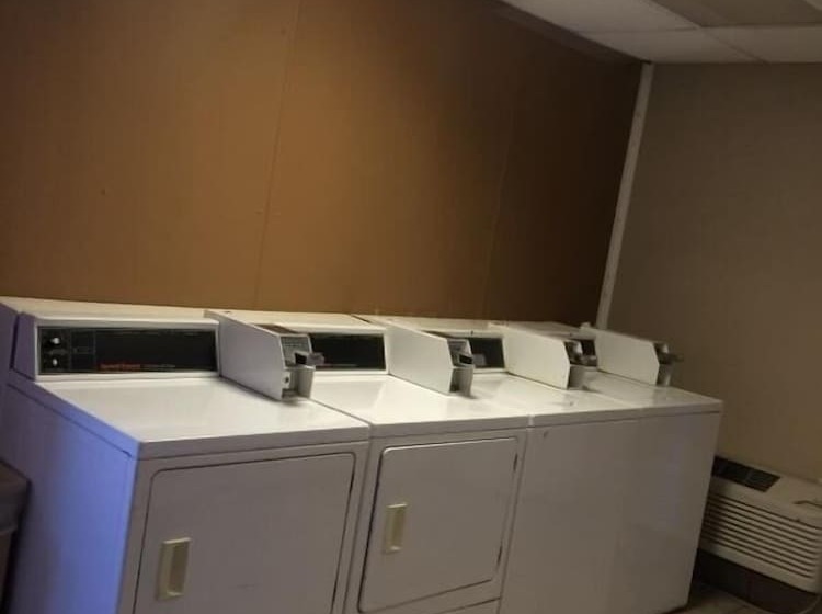 בית מלון כפרי New Sunflower Inn