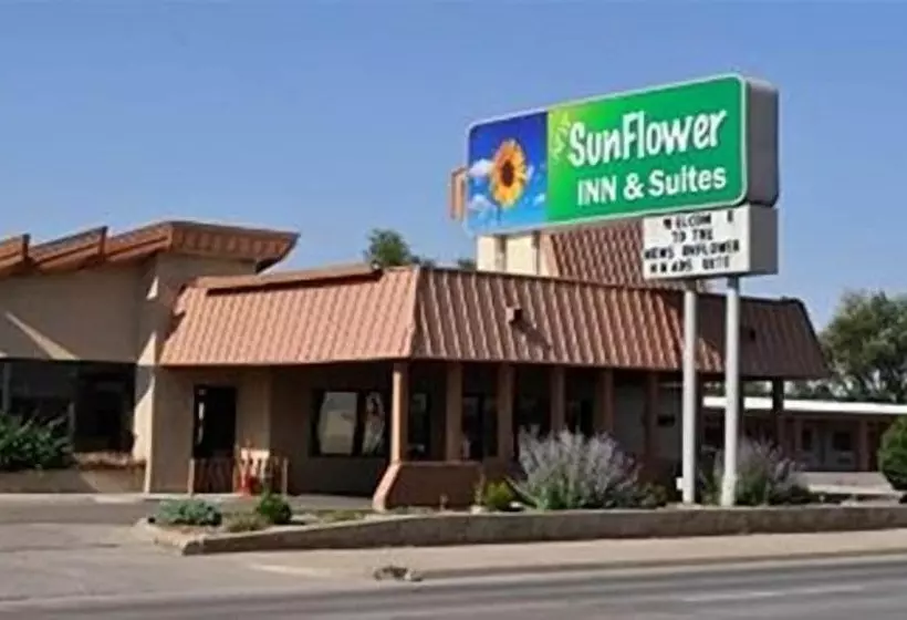 Hotel New Sunflower Inn