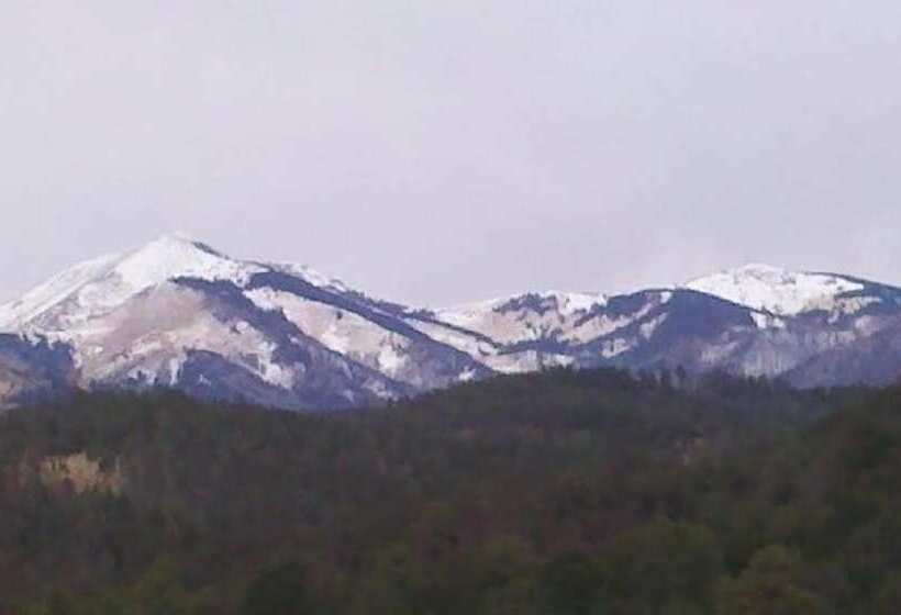 هتل Swiss Chalet Inn