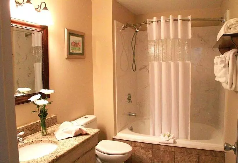 בית מלון כפרי The Historic Brookstown Inn, Trademark Collection By Wyndham