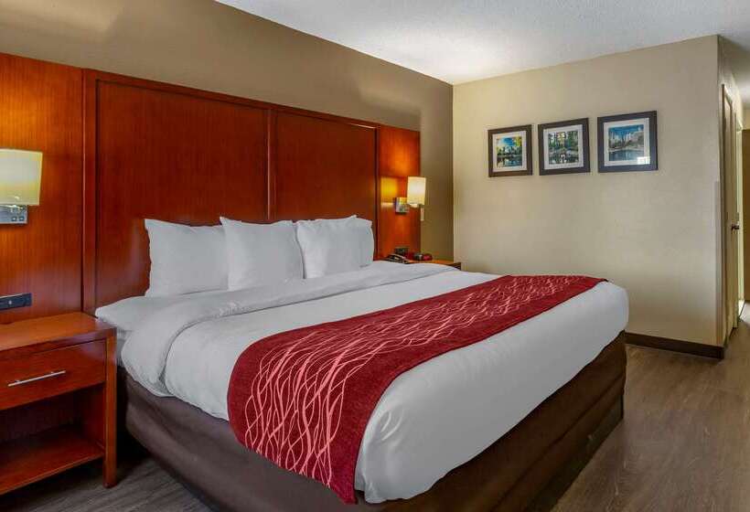 Отель Comfort Inn Fort Mill Amusement Park At Carowinds Blvd
