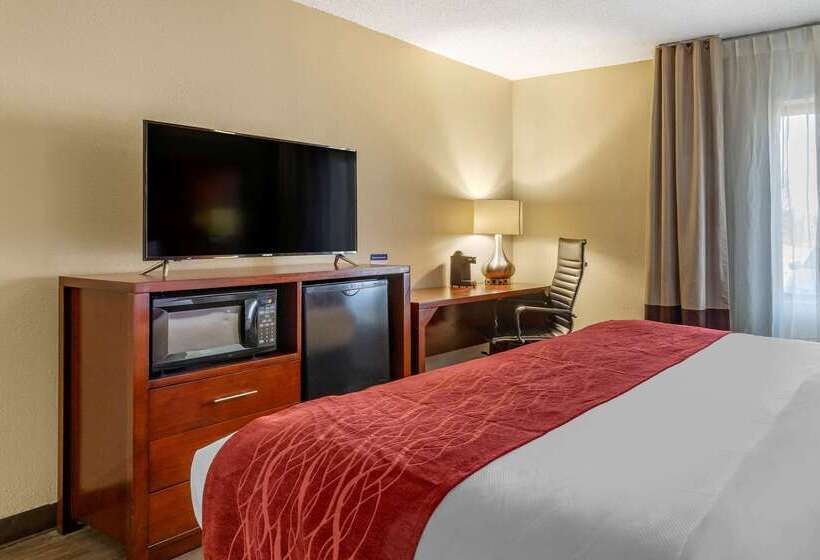 Отель Comfort Inn Fort Mill Amusement Park At Carowinds Blvd