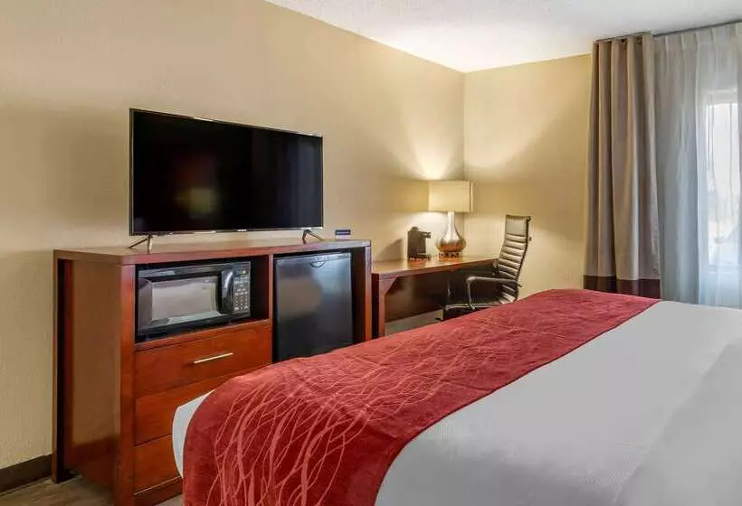 호텔 Comfort Inn Fort Mill Amusement Park At Carowinds Blvd