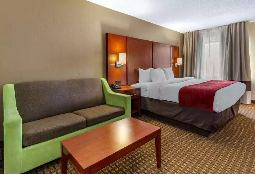 호텔 Comfort Inn Fort Mill Amusement Park At Carowinds Blvd