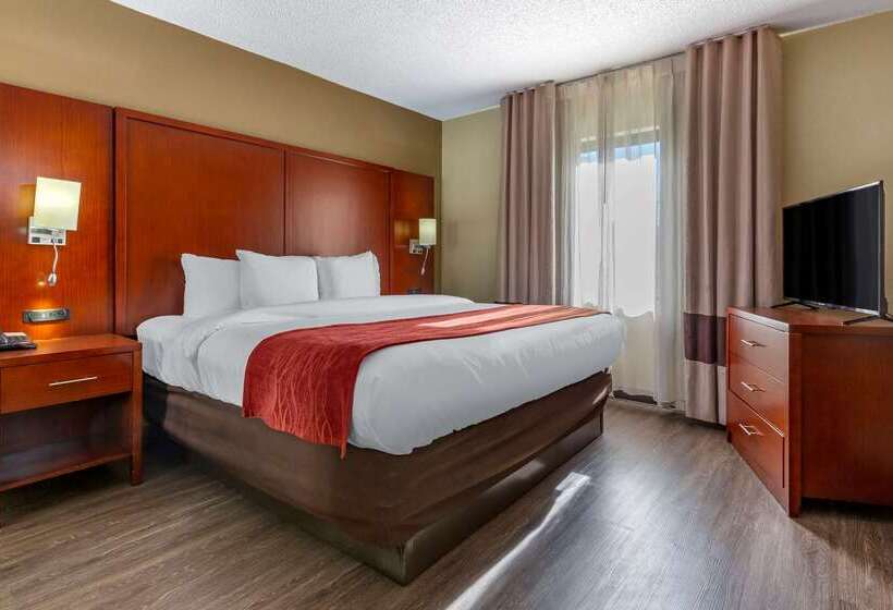 Отель Comfort Inn Fort Mill Amusement Park At Carowinds Blvd