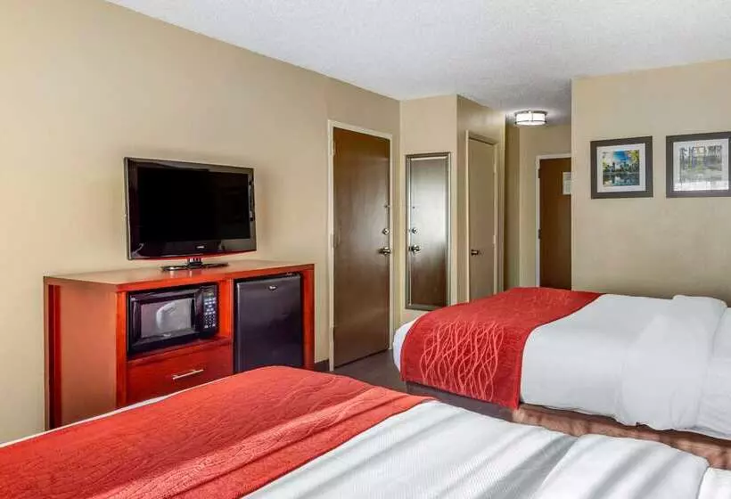 호텔 Comfort Inn Fort Mill Amusement Park At Carowinds Blvd