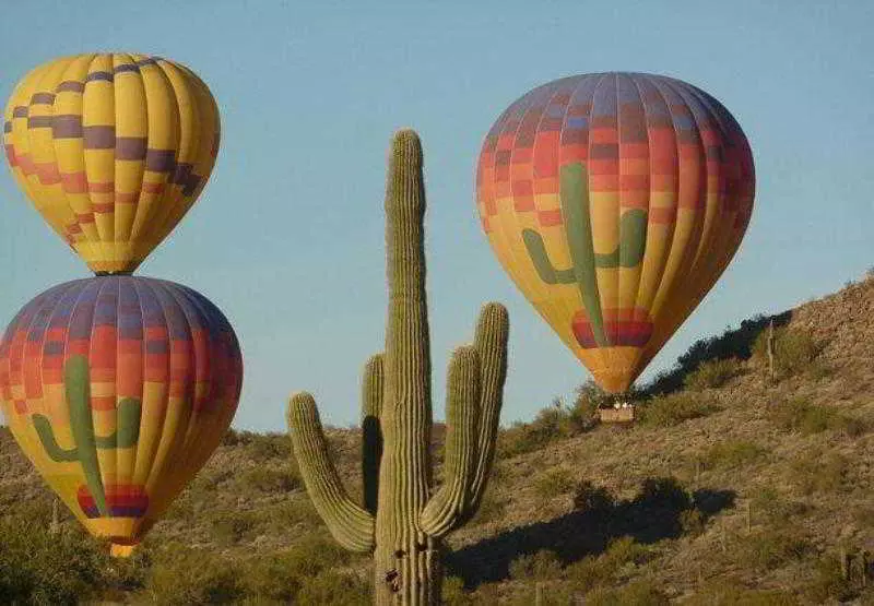 Otel Courtyard By Marriott Phoenix North