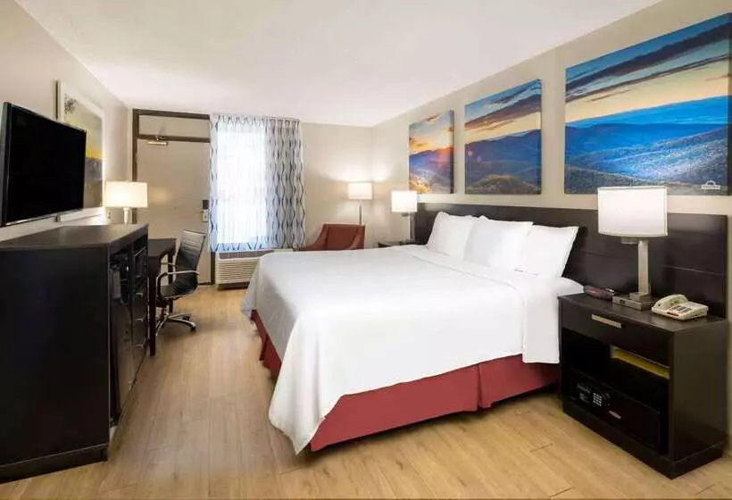 Otel Days Inn By Wyndham Raleigh Midtown