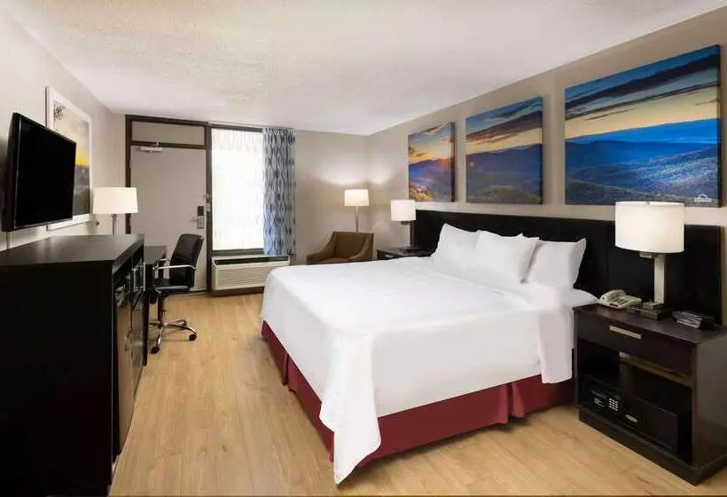 Otel Days Inn By Wyndham Raleigh Midtown