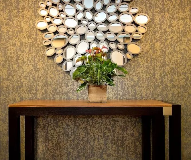 Hotel Holiday Inn Express Denver Downtown, An Ihg