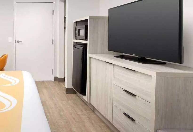 Hotel Quality Inn Atlantic Beachmayo Clinic Jax Area