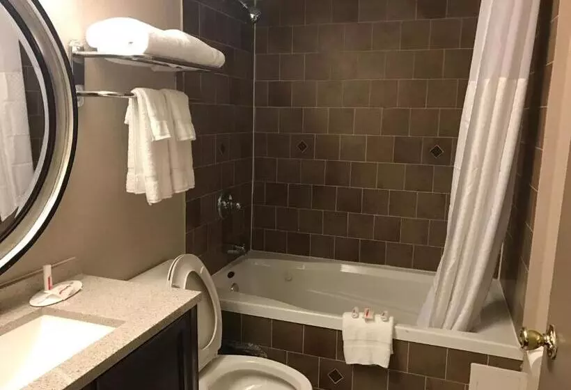 فندق Quality Inn