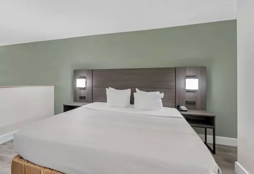 ホテル Quality Inn & Suites Orlando East   Ucf Area