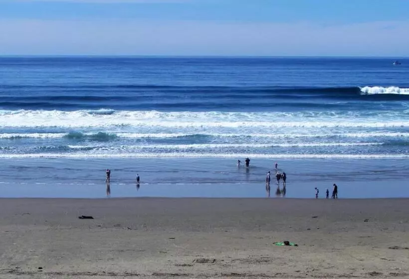 בית מלון כפרי Driftwood Shores Resort