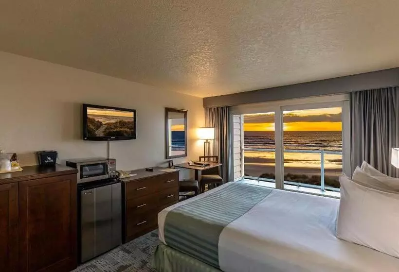 בית מלון כפרי Driftwood Shores Resort