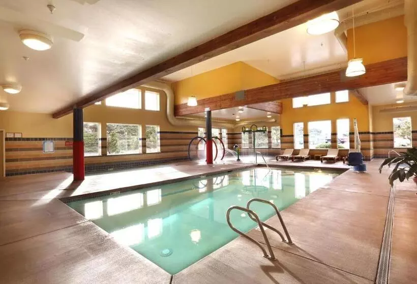 בית מלון כפרי Driftwood Shores Resort