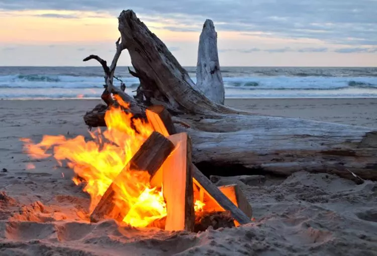 בית מלון כפרי Driftwood Shores Resort