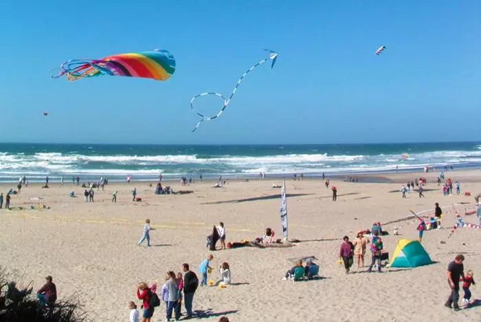 בית מלון כפרי Driftwood Shores Resort