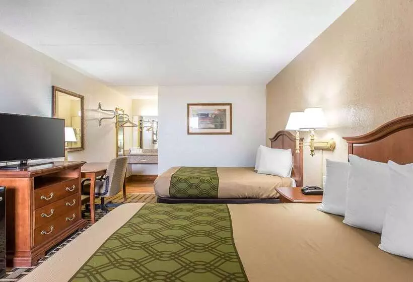 Отель Econo Lodge Midtown