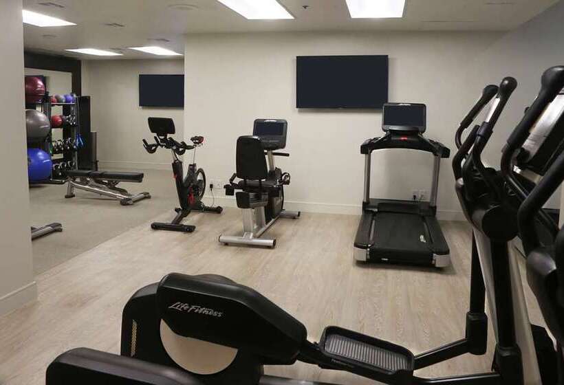 Hotel Embassy Suites By Hilton Los Angeles Lax South/el Segundo