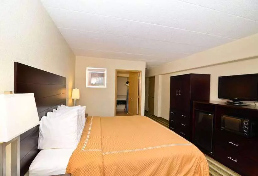 ホテル Quality Inn & Suites New York Avenue