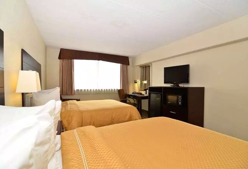ホテル Quality Inn & Suites New York Avenue