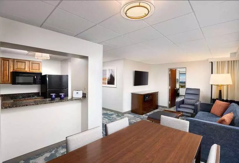 Doubletree By Hilton Houston Medical Center Hotel & Suites