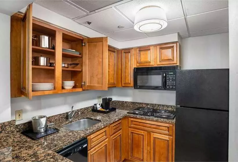 Doubletree By Hilton Houston Medical Center Hotel & Suites