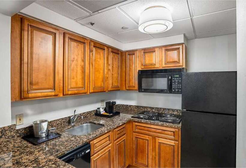 Doubletree By Hilton Houston Medical Center Hotel & Suites