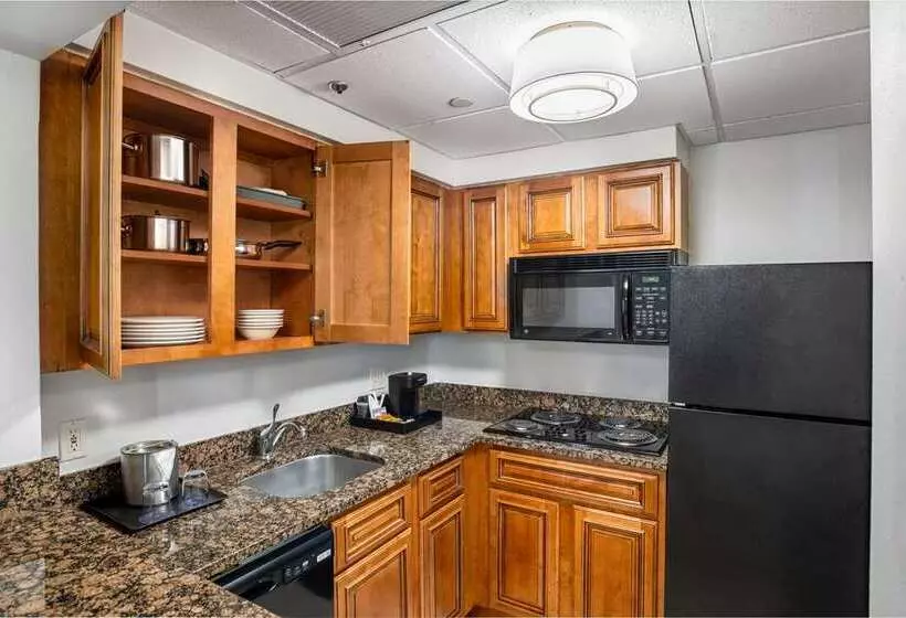 Doubletree By Hilton Houston Medical Center Hotel & Suites