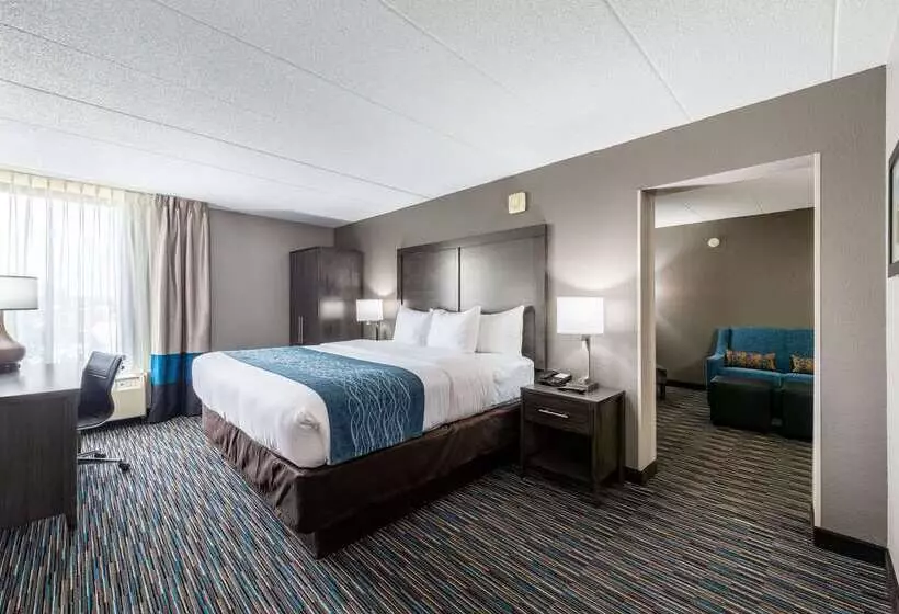 호텔 Comfort Inn Chicago Schaumburg  O Hare Airport