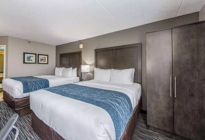 호텔 Comfort Inn Chicago Schaumburg  O Hare Airport