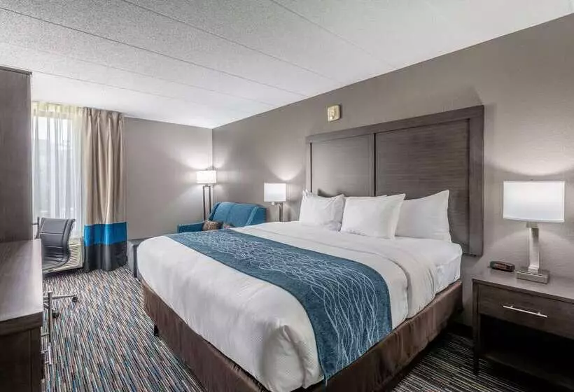 호텔 Comfort Inn Chicago Schaumburg  O Hare Airport