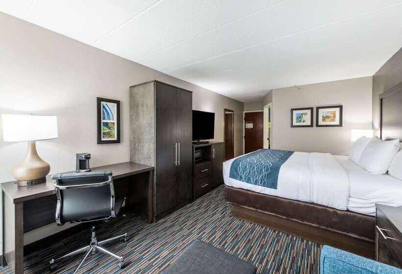 בית מלון כפרי Comfort Inn Chicago Schaumburg O Hare Airport