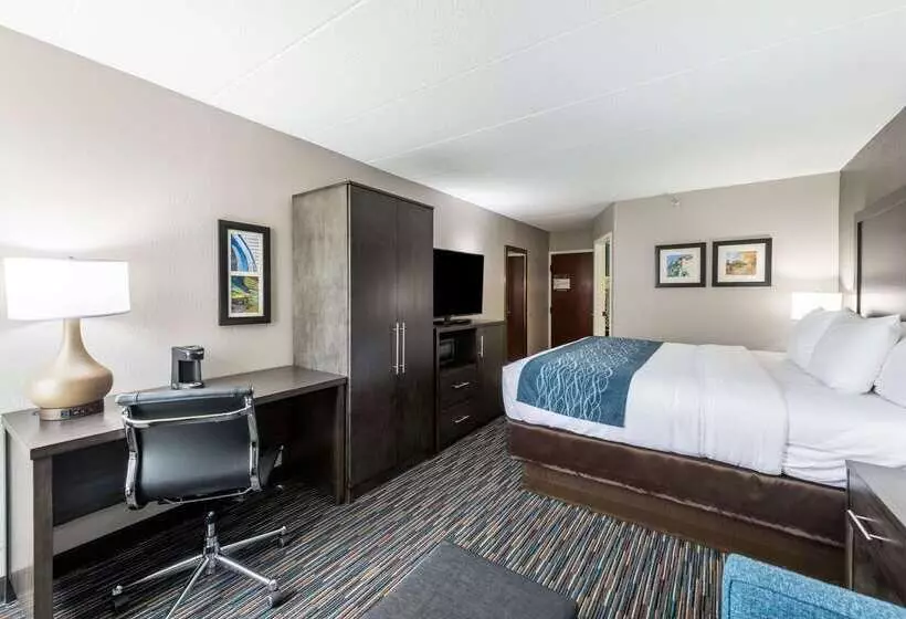 호텔 Comfort Inn Chicago Schaumburg  O Hare Airport